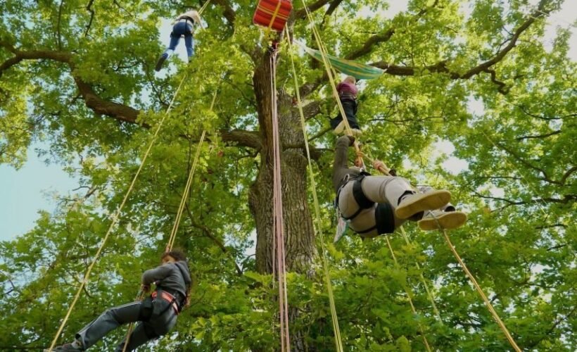 imgi_32_grimpe-dans-les-arbres